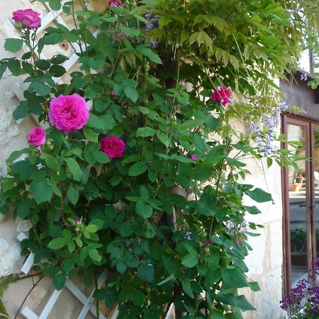 Les Tuileries Bed and Breakfast Ponteyraud Buitenkant foto
